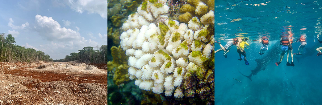 Environmental destruction showing forests, oceans, and wildlife