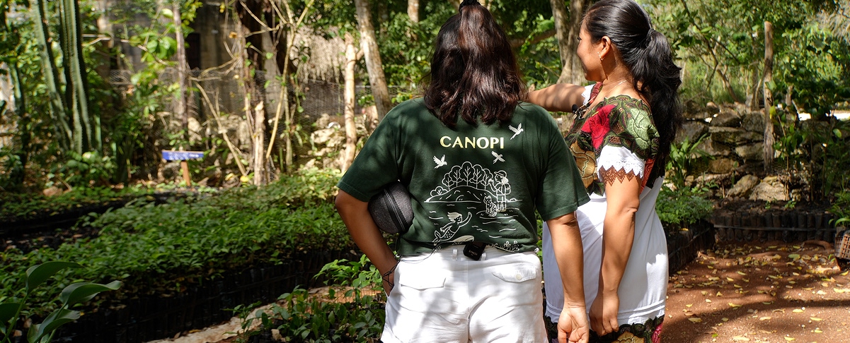 Regenerative travel — restoring ecosystems through meaningful travel